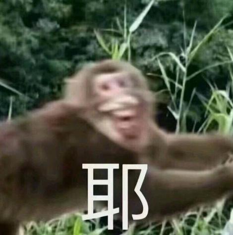 DƬ